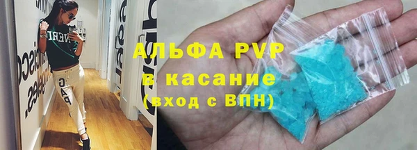 твердый Гусев