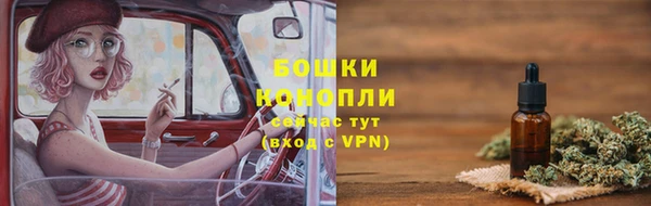 твердый Гусев