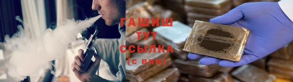 твердый Гусев