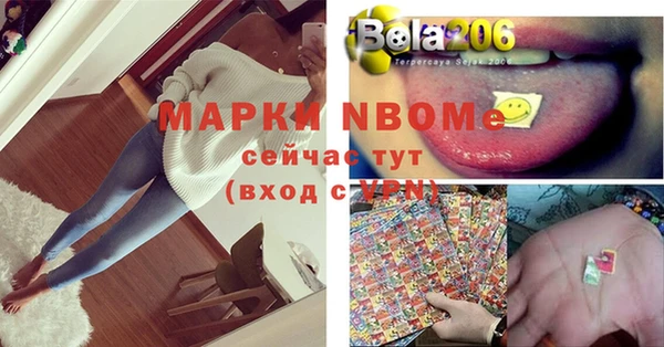 твердый Гусев