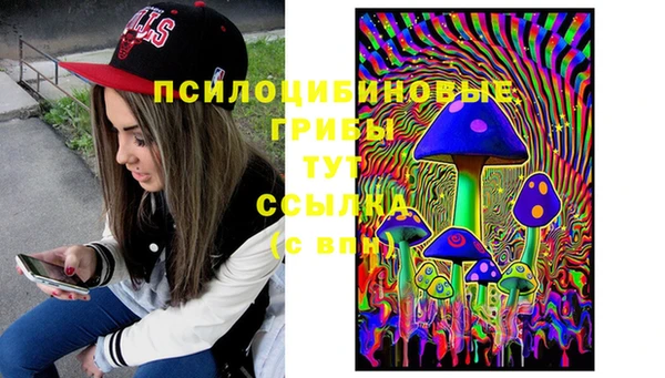 герыч Гусь-Хрустальный