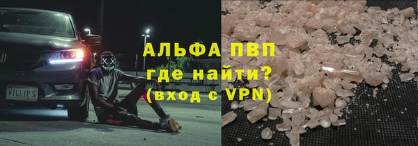 твердый Гусев