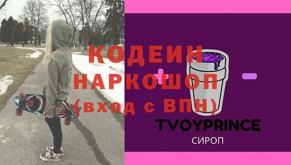 твердый Гусев